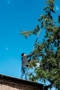 A homeowner uses a long-handled roof rake to clear dry leaves from shingles beside a ladder.