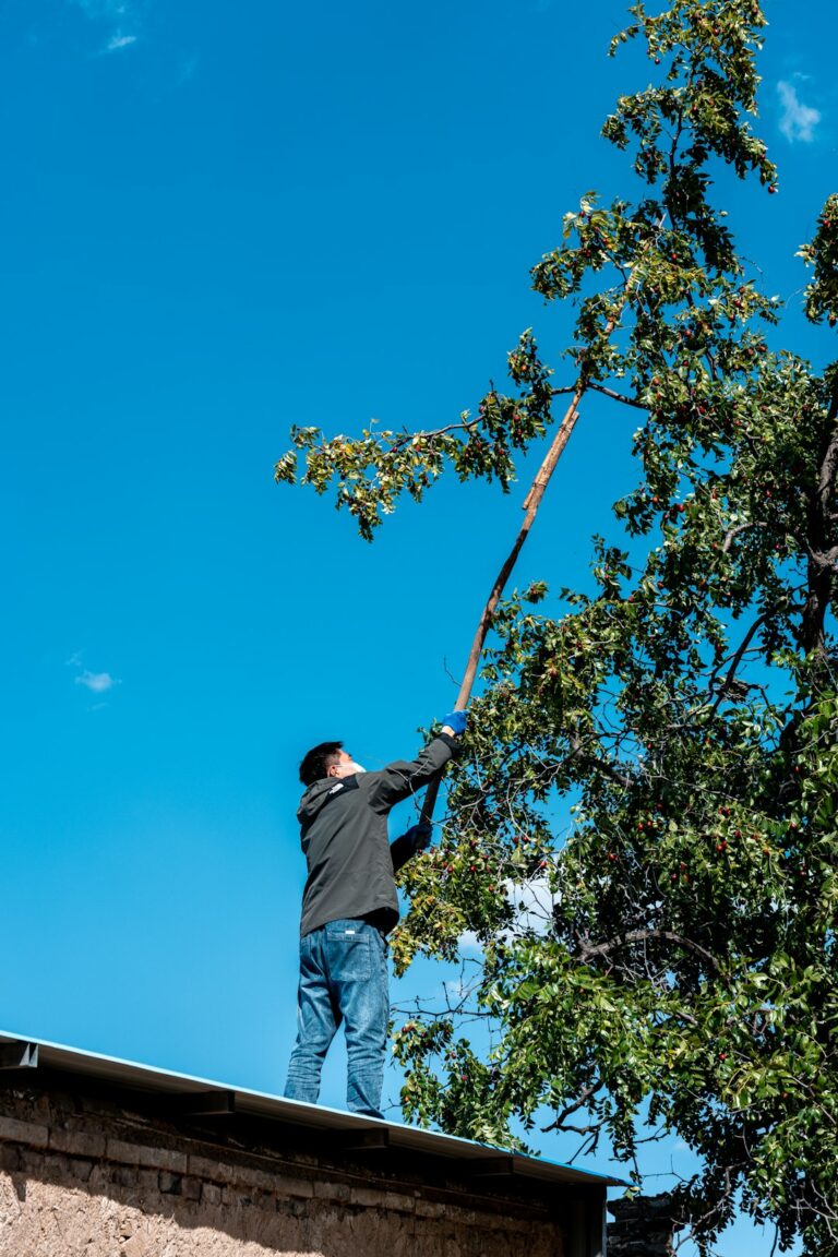 A homeowner uses a long-handled roof rake to clear dry leaves from shingles beside a ladder.